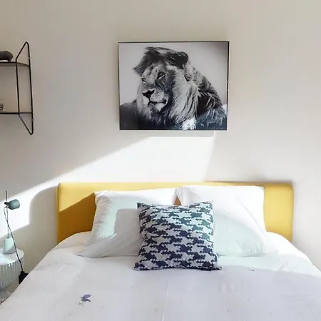 Guest house Lumineuse A Saint-gilles Brussels